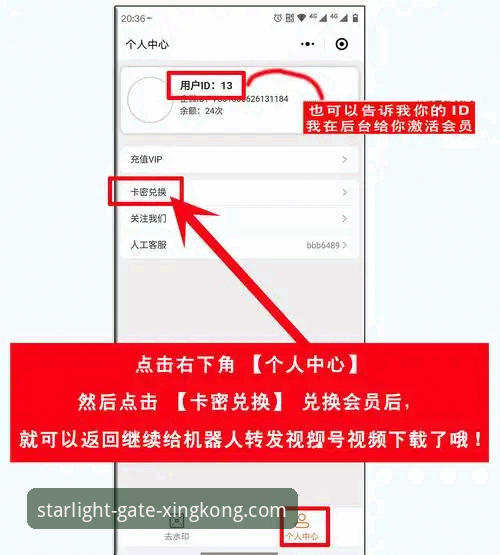 星空入口平台使用指南：从下载到登录的安全操作全攻略